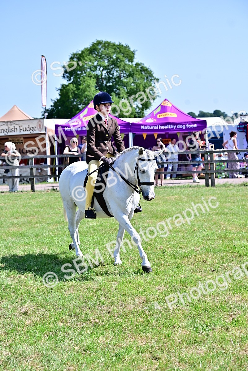SBM_13909 - Class 95-97 - BSPS LHS Performance Ponies