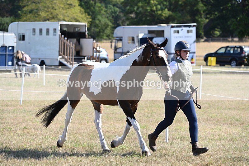 WJ6_4205 - Class 16 Condition & Turn Out