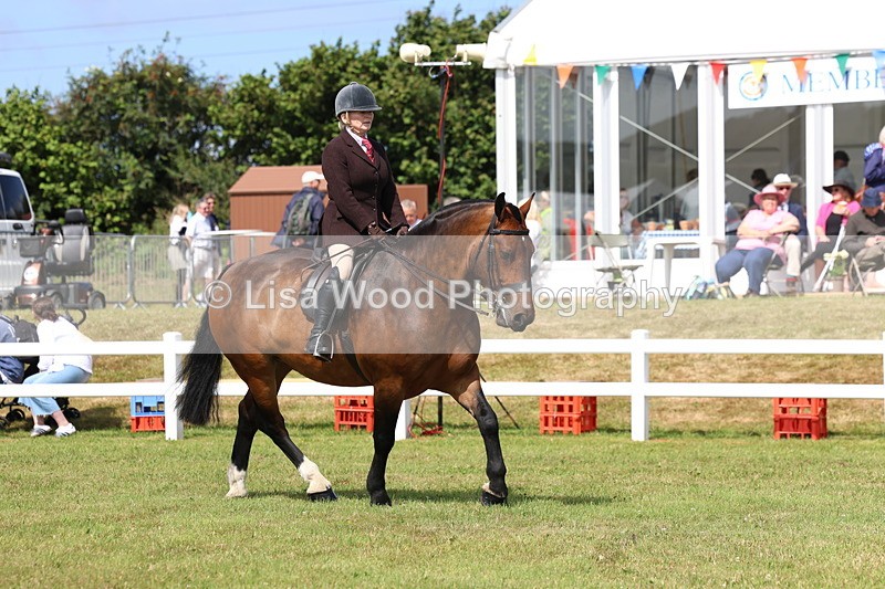 3E7A9862 - Class 5: Rising Star Lightweight/Heavyweight Cobs