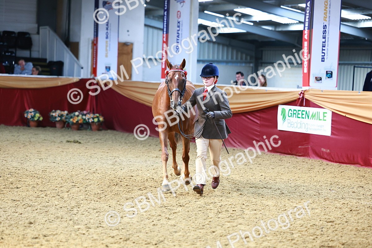 SBM_22353 - Class 902 - Supreme Final - IH Diamond