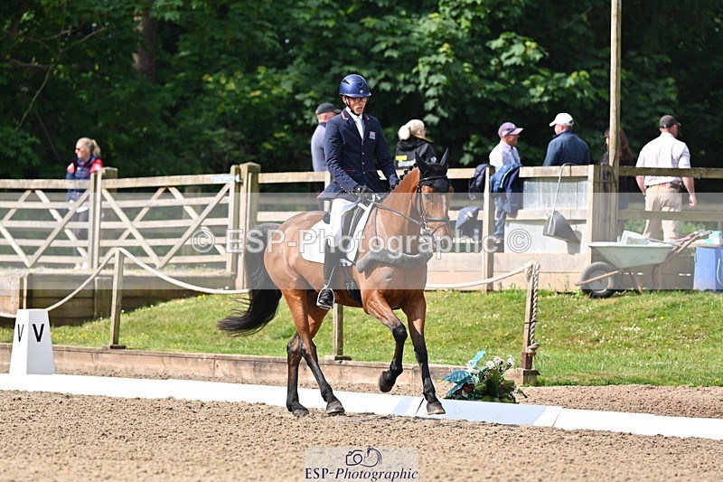 250523A-094207-05316 - C-258-Bill.Levett-ITALIAN.HARLEQUIN.NJ