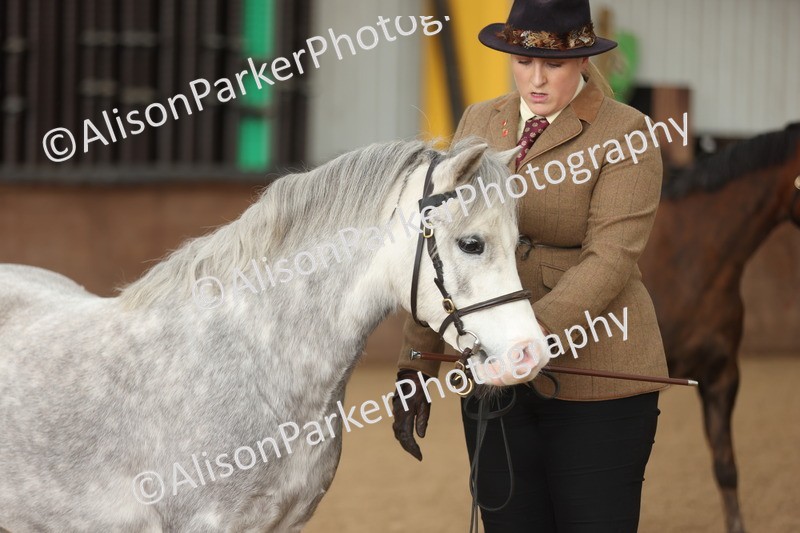 20251109-0626 - Class 22 - Geldings 4 Years and over