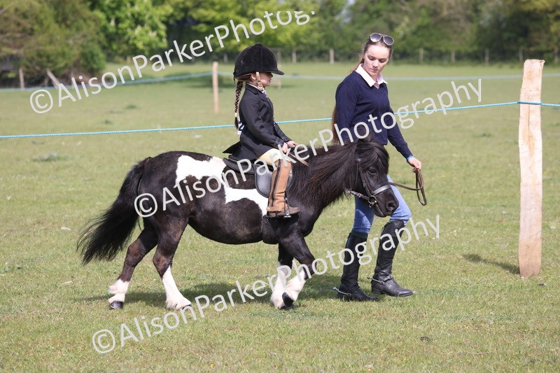 20260426-0560 - Class 31 - Leading Rein