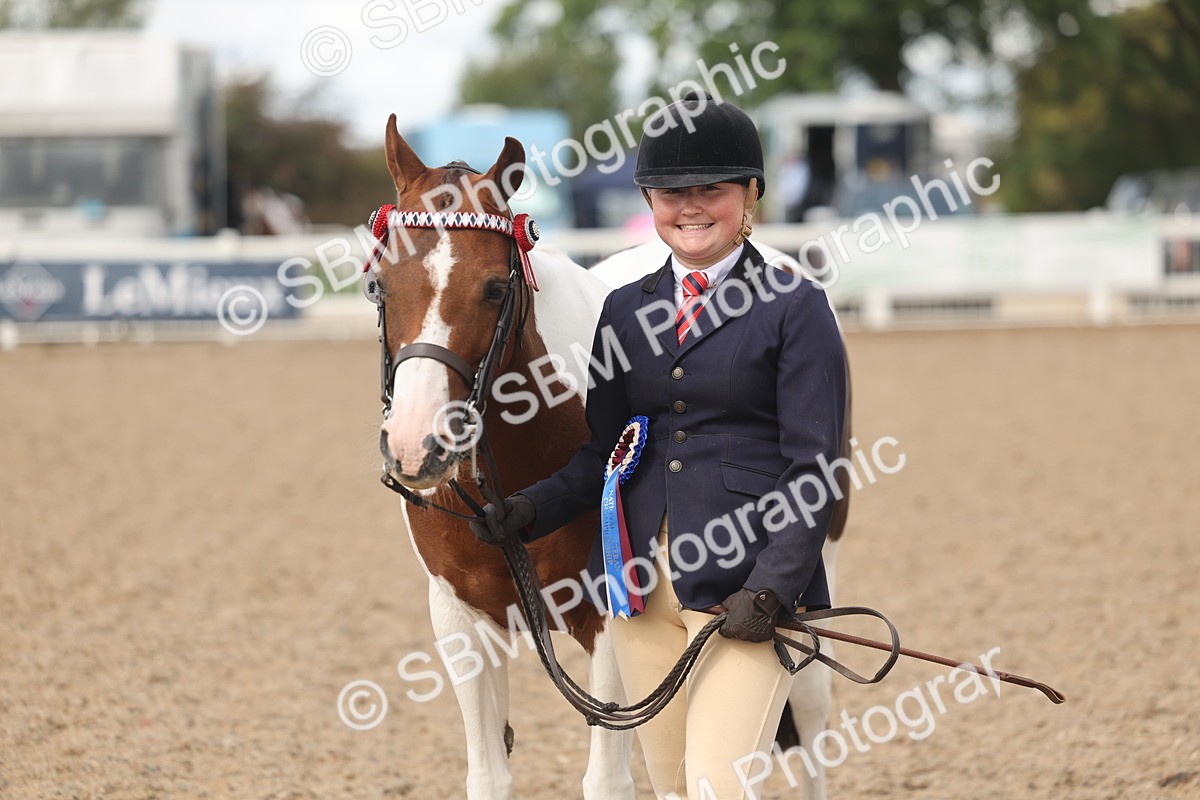 SBM_04386 - Class 17 - Prettiest Mare (IH or Ridden)