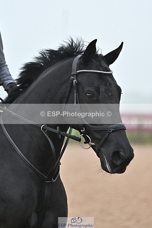 241103A-110528-06880 - SUN Cls 18 British Novice and 90cm Open