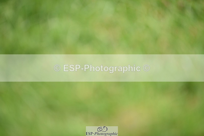 240605-123900-00939 - Cls 4 Novice 37 SQ