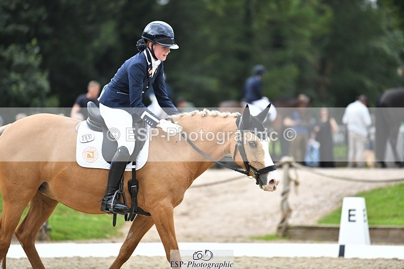 230812-124303-04197 - Cls 6 Novice Silver 12.10 to End