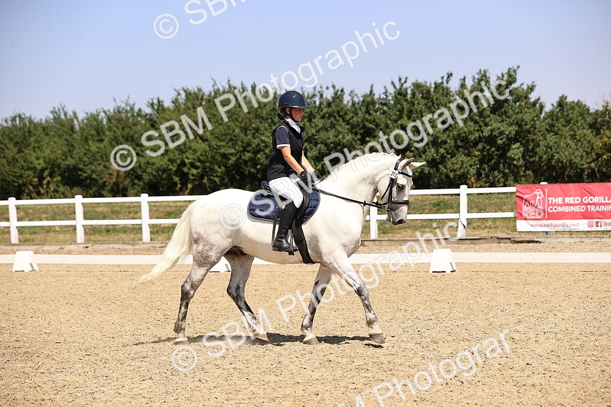 SBM_004066 - Intro 2