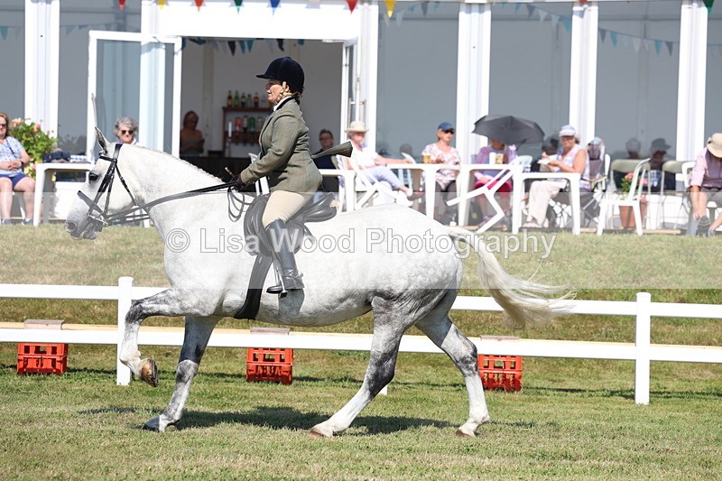 3E7A6600 - Class 4: Rising Star M/H Hunter