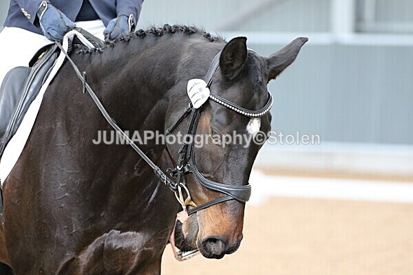 SIAL8108 - GDG Bogenraith Friday 26th Sept 2025