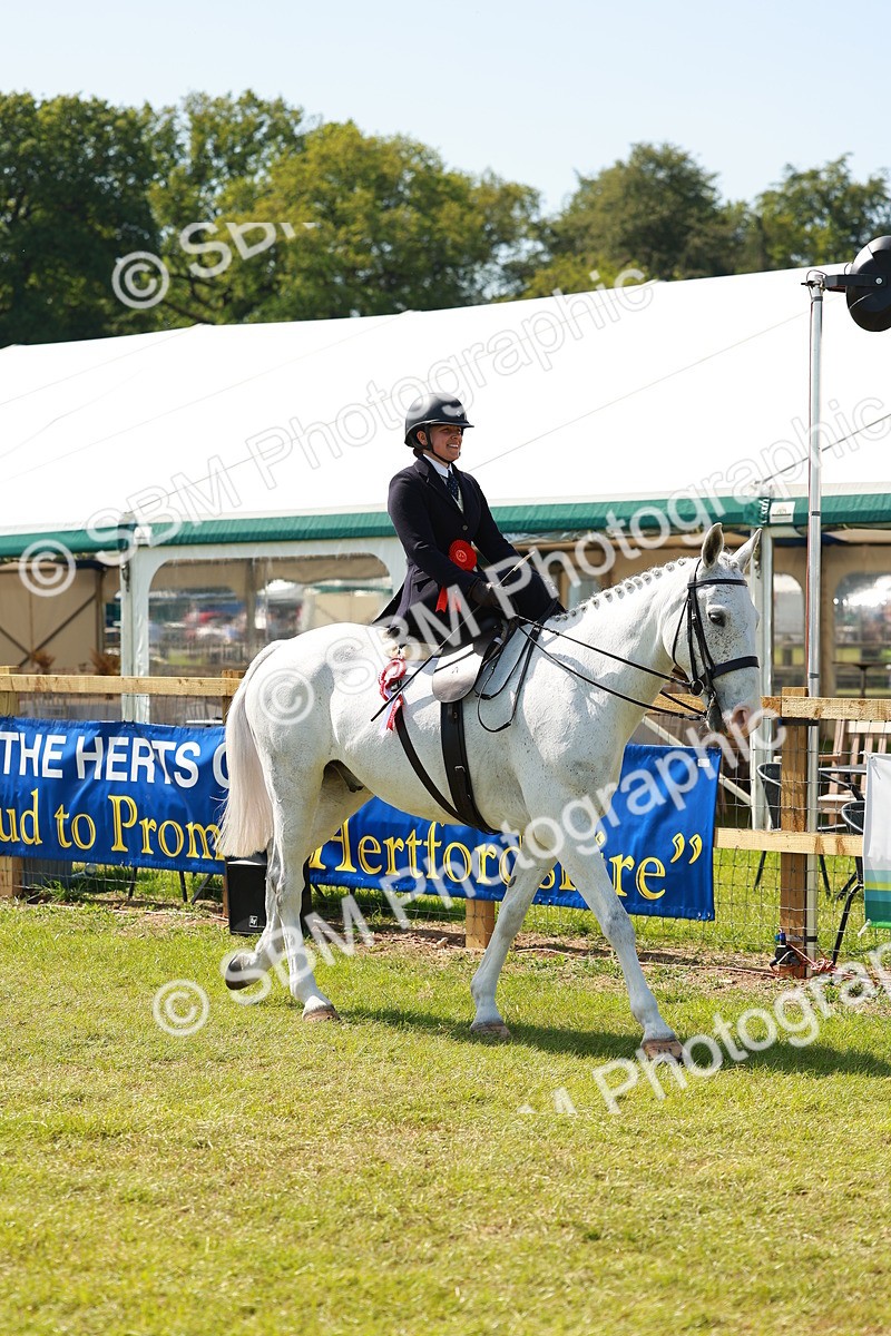 SBM_13430 - Class 70-71 - Side Saddle