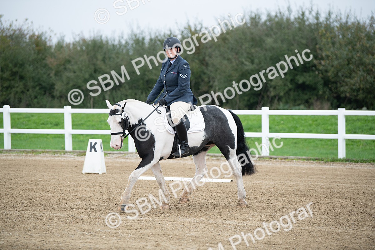 SBM_003489 - Introductory Test 3