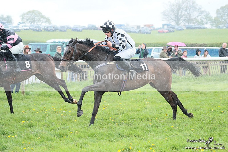 PtP 180426 1368 - Worcestershire Hunt PtP Chaddesley Corbett 18/04/26