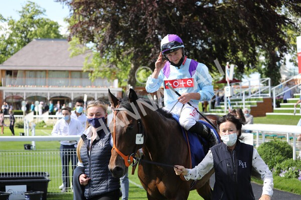 yr12062021r5-31 - Race 5 4.15pm Reg Griffin Appreciation EBFstallions.com Maiden Stakes