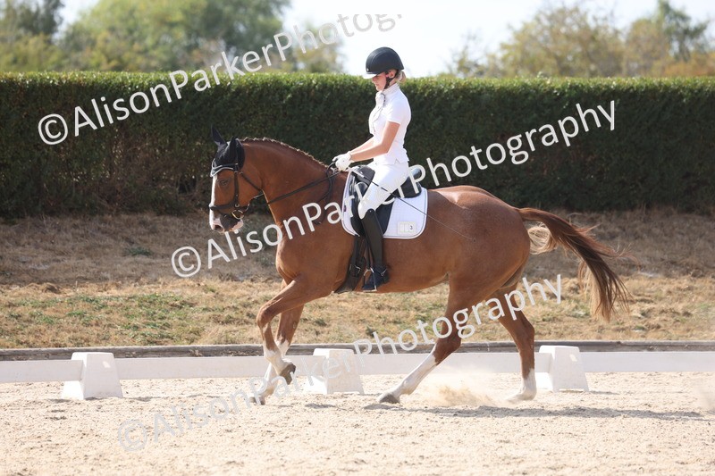20260815-1145 - Class 6 - Novice 2
