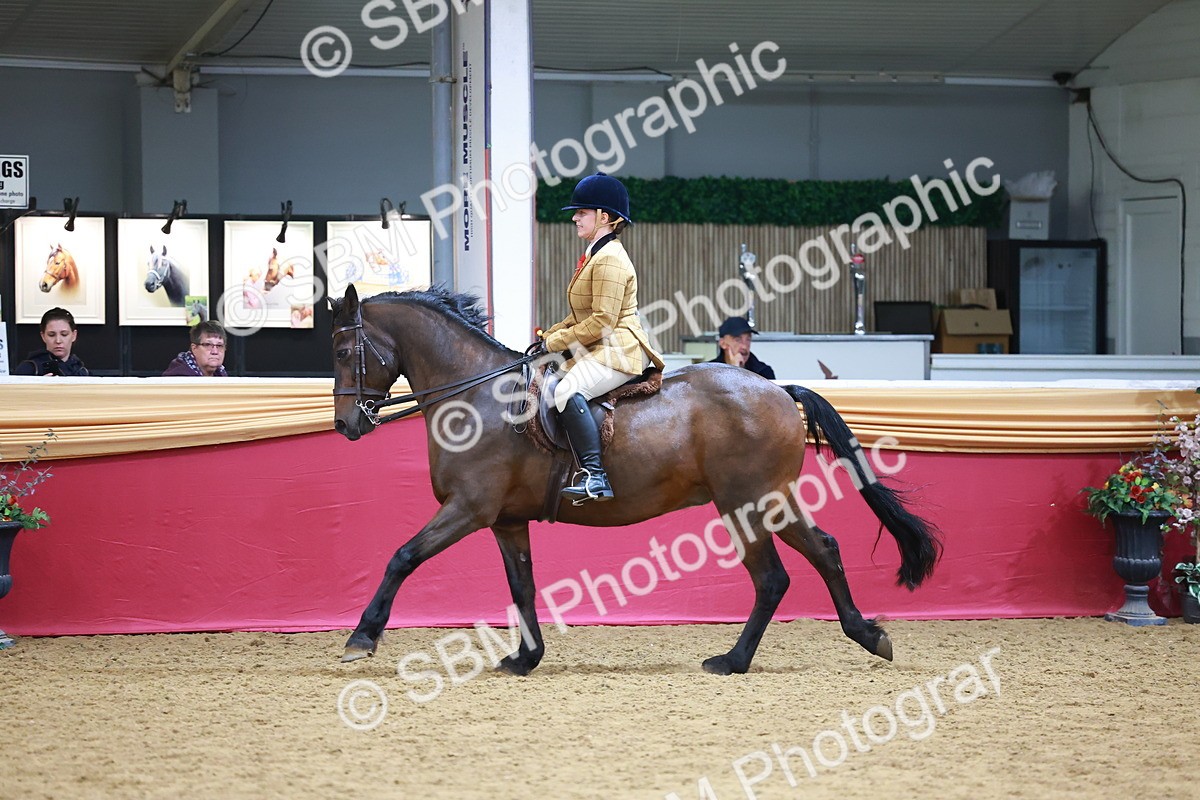 SBM_05479 - Class 11R - Ridden Veteran