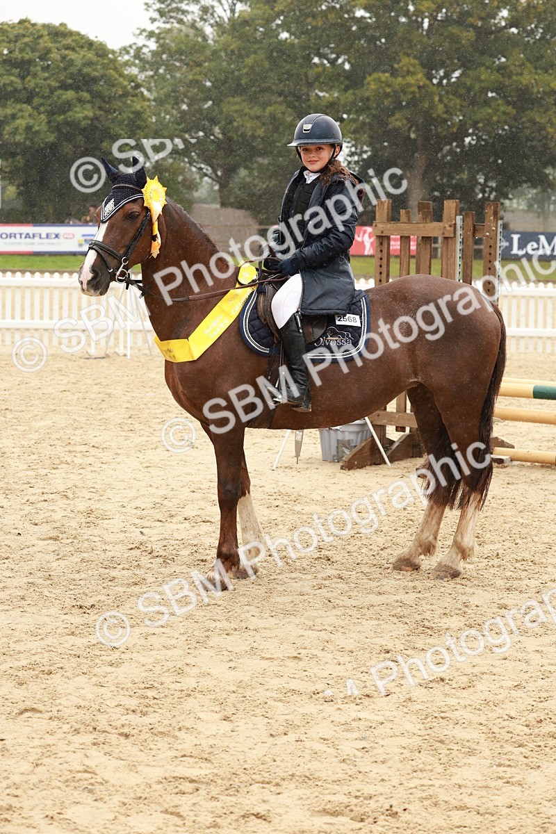 SBM_72209 - J14 - Junior Pony 65cm Championship