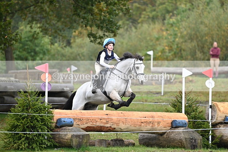 WJ6_2227 - 80cm Cam 1 Time 10:47 to 11:22