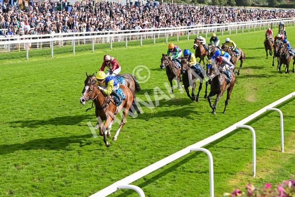 230824-Race 5-Canoodled-9745 - Race 5 4.10pm Assured Data Protection EBF Fillies' Handicap