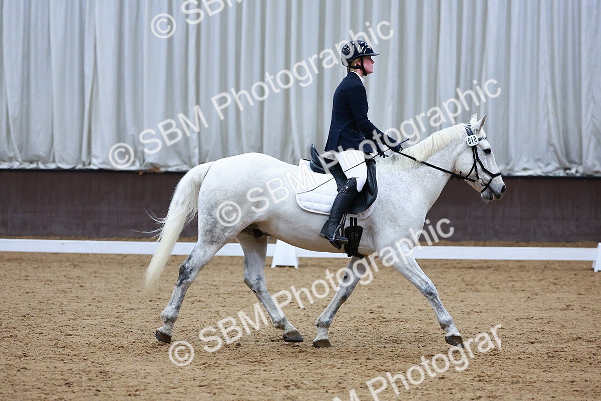 0B8A7985 - Class 5 - Novice 2