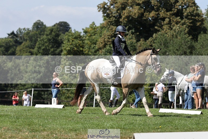 250823A-133414-31318 - Arena D