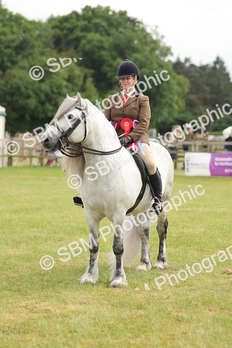 SBM_09160 - Class 78-80 - Ridden M&M Non Welsh Ponies