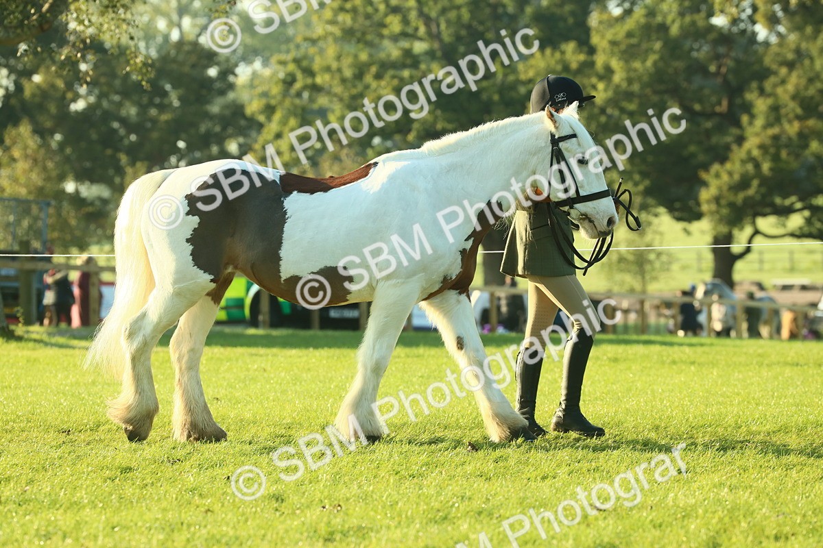 SBM_57288 - S37 - Starters In Hand Showing