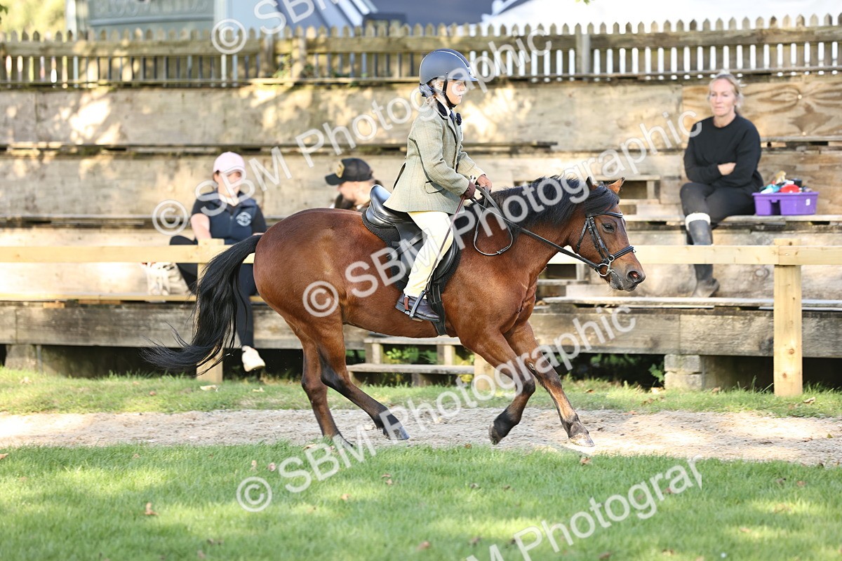 SBM_29437 - S7 - Novice & Newcomers Ridden Pony