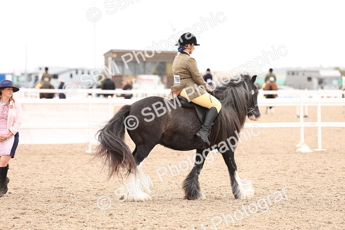 SBM_19719 - Class 216 - Ridden Traditional - Native Cob
