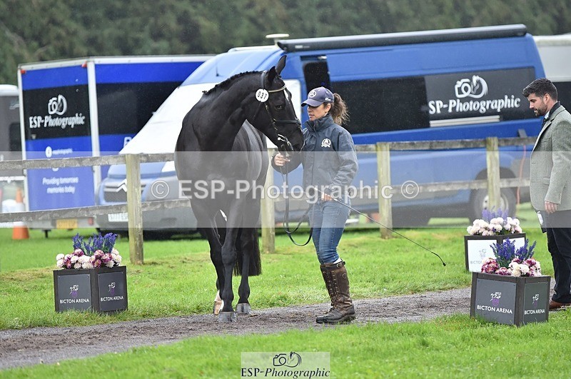 231018-122736-00303 - 037-MISTER.KAI-Hani.Milstein-TrotUp