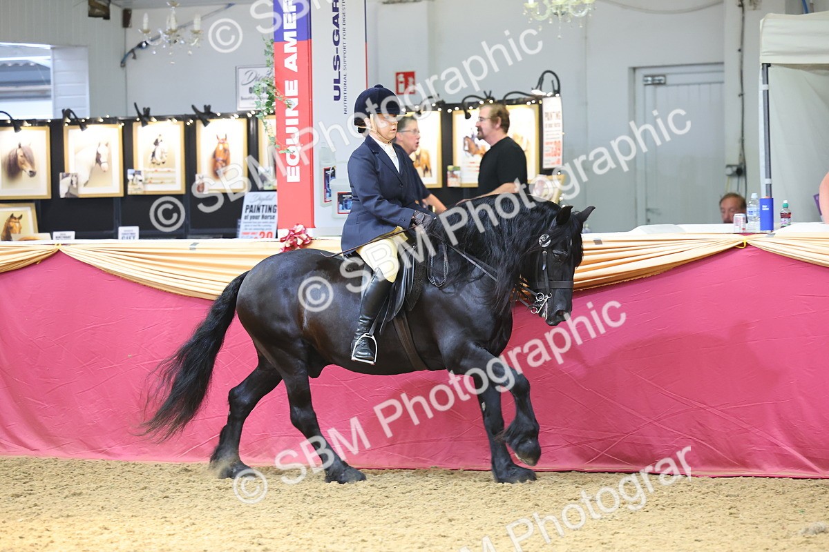 SBM_23902 - Class 905 - Supreme Final - Ridden Veteran