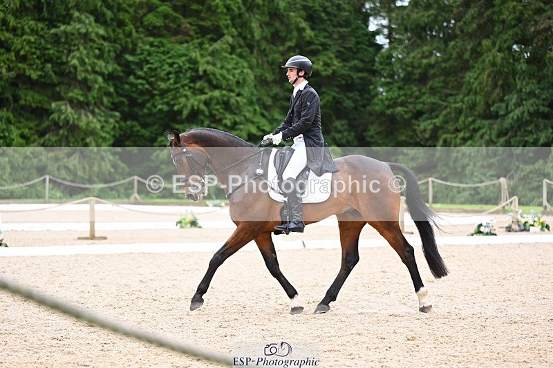 240524-180215-11550 - 162-HAZZLE_DAZZLE-Henry_Hobby