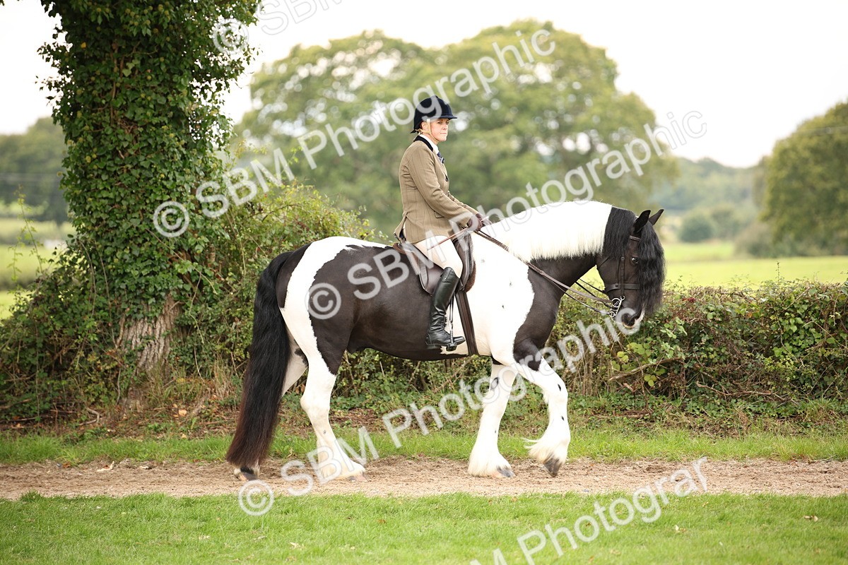 SBM_73410 - S68 - Traditional Cob Ridden