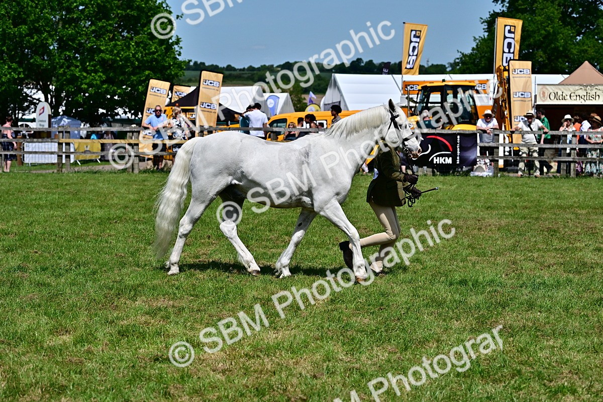 SBM_07824 - Class 61-62 - TSR  M&M Ridden Amateur of the Year