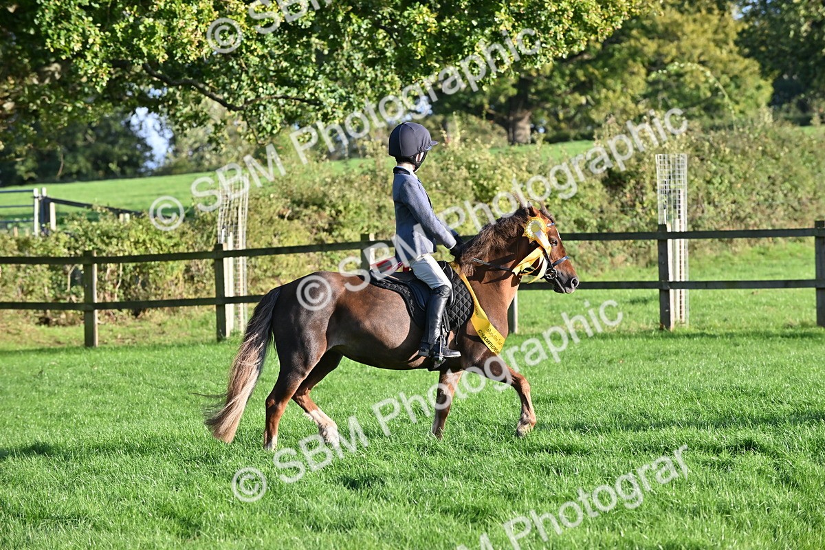 SBM_52320 - First Ridden Supreme Championship