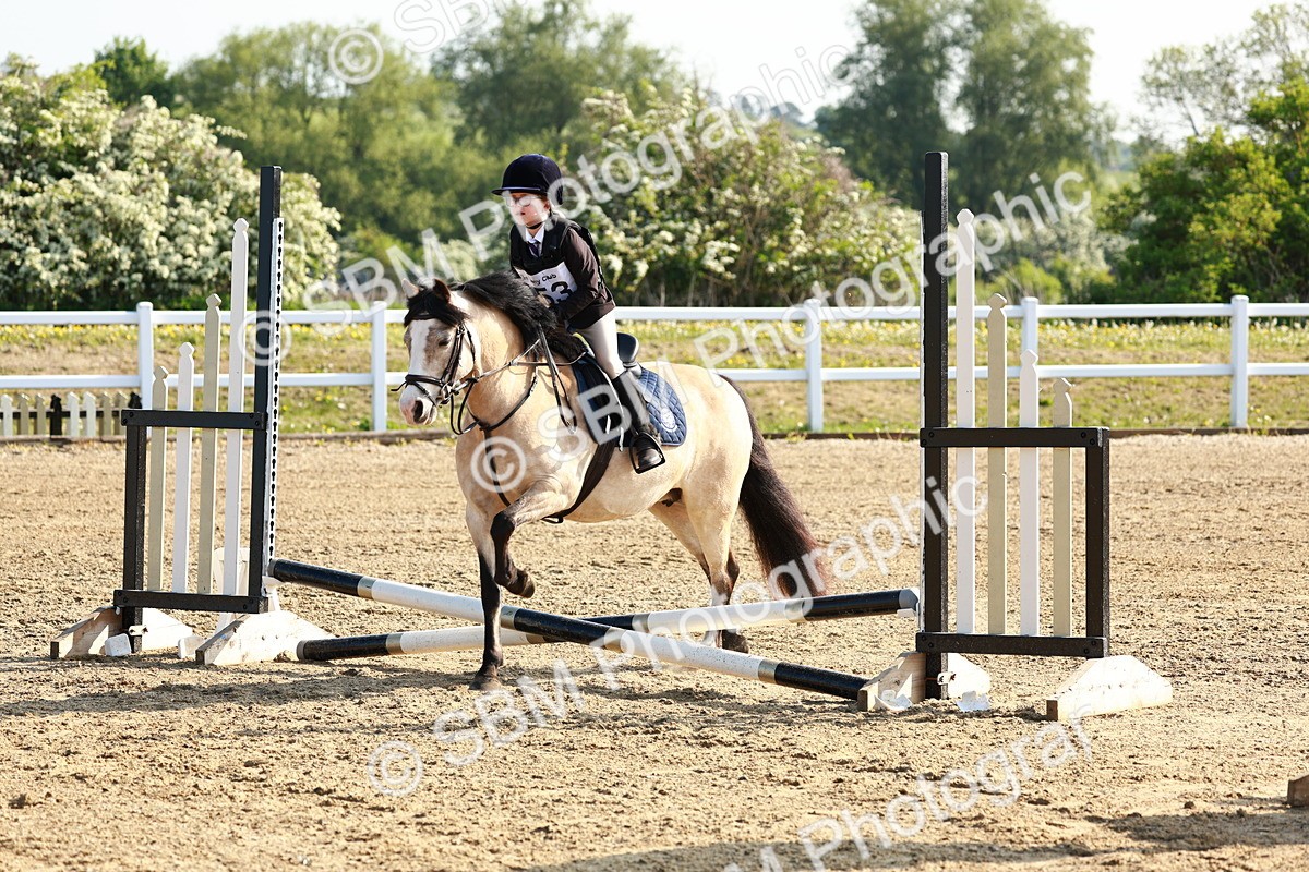 SBM_006232 - Class 1 - 40cm