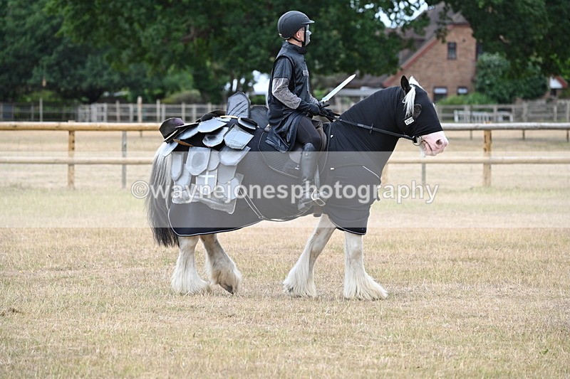 WJ6_8835 - Class 11 Fancy Dress