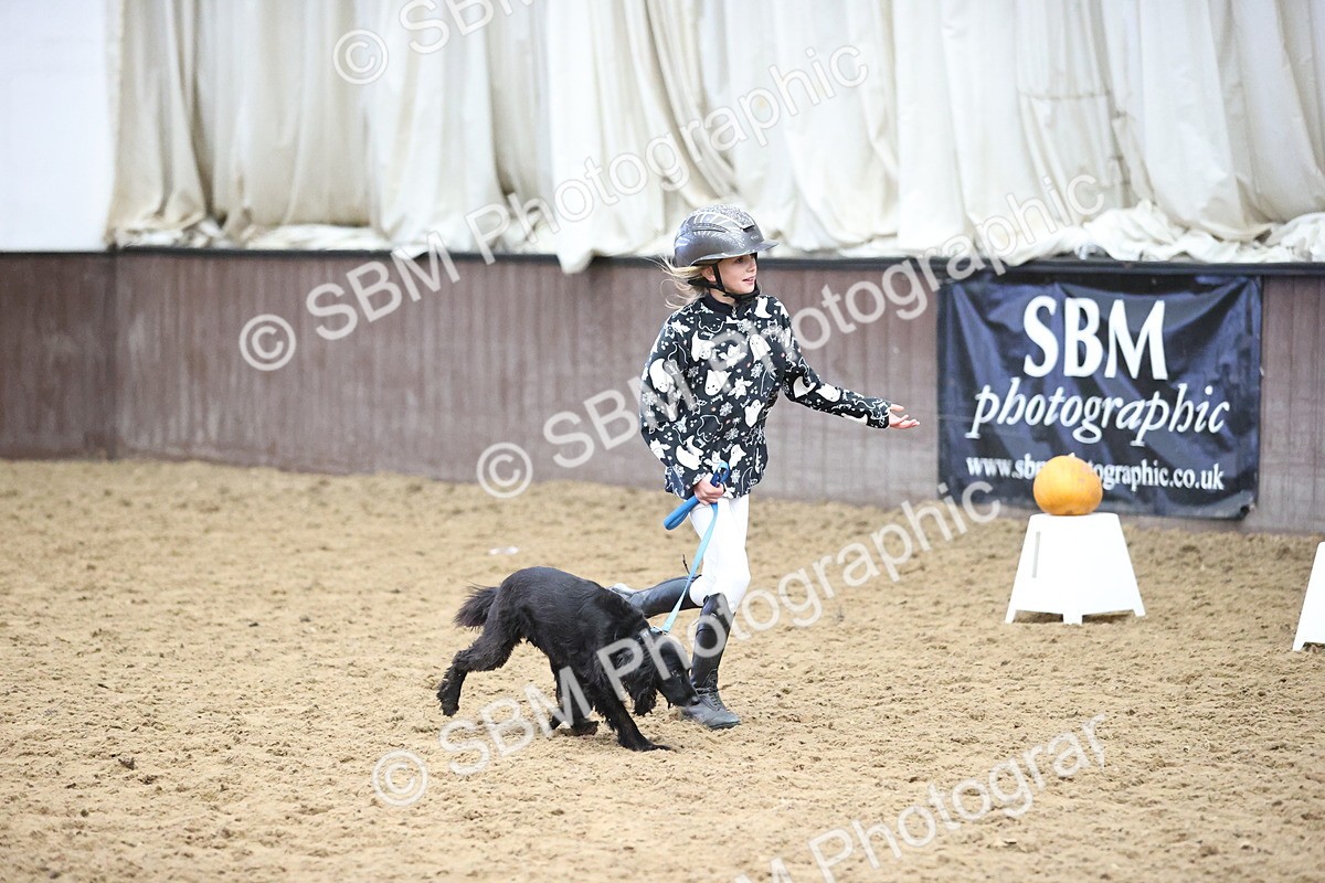 SBM_001560 - Class 3 - Horse & Hound 60cm