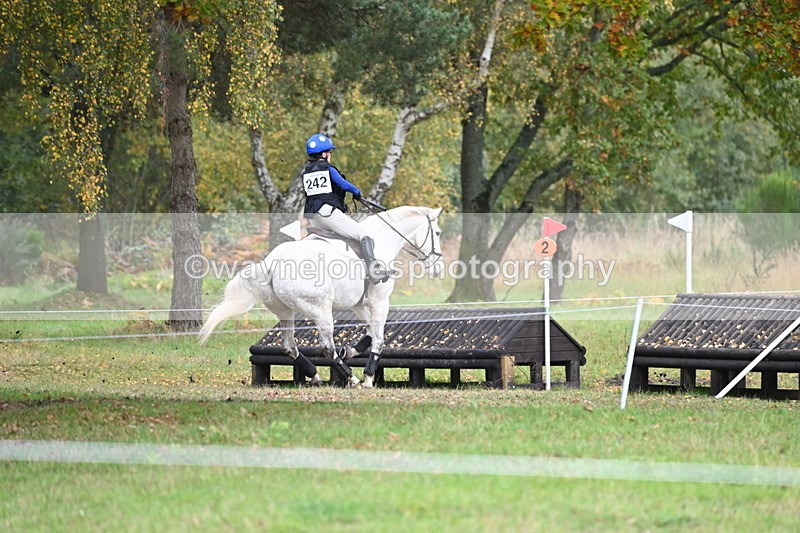 WJ6_4095 - 90cm Cam 1 Time 14:05 to 14:35