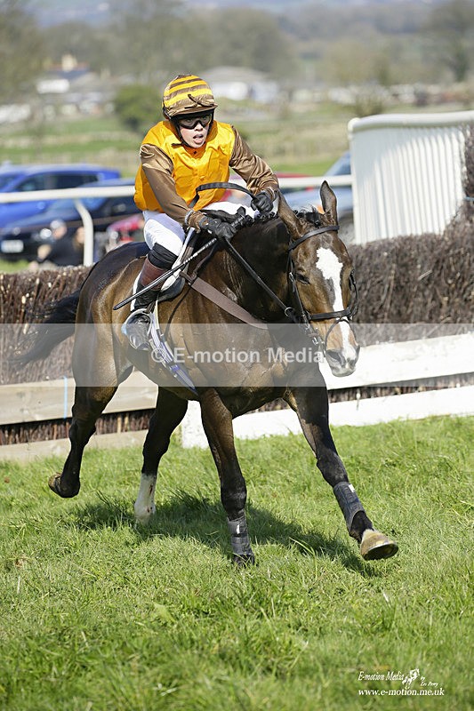 PtP 200322 253 - Mendip Farmers Point-to-Point 20/03/22