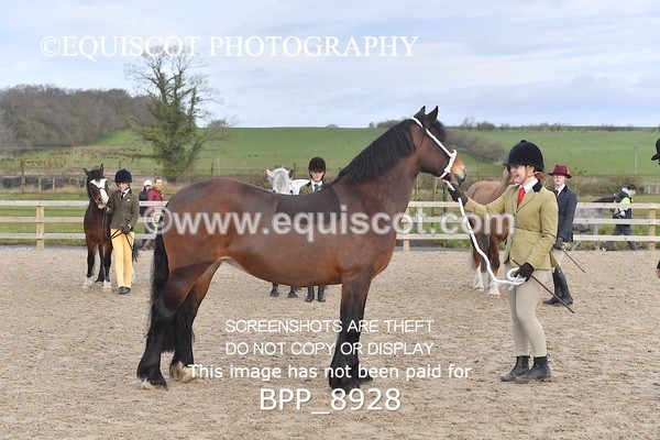 BPP_8928 - RING 2 - M&M