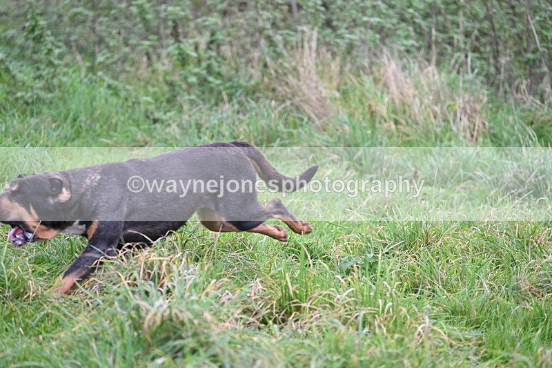 WJ7_8962 - Camera 1 only on this line