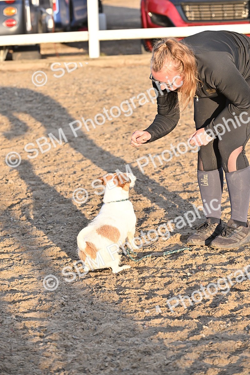 SBM_09685 - Lorry Dogs