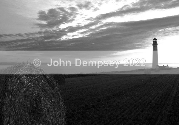 Hay there! - B&W