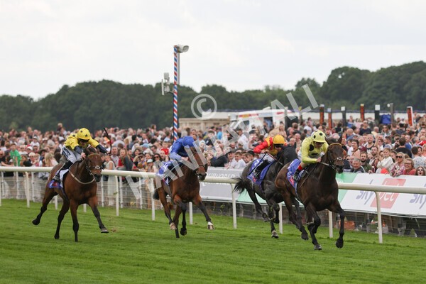 yr11062022r4-17 - Race 4 3.05pm Sky Bet Grand Cup