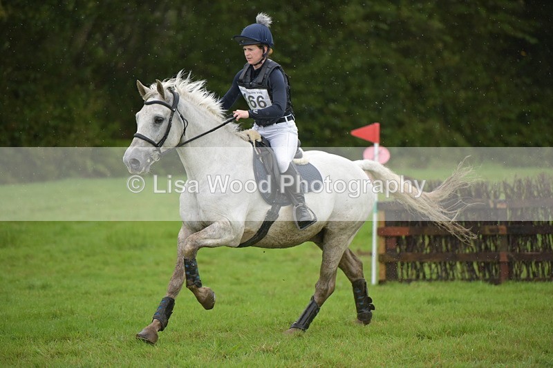 RAY_0482 - Class 4: 80cm: Double of Brushes