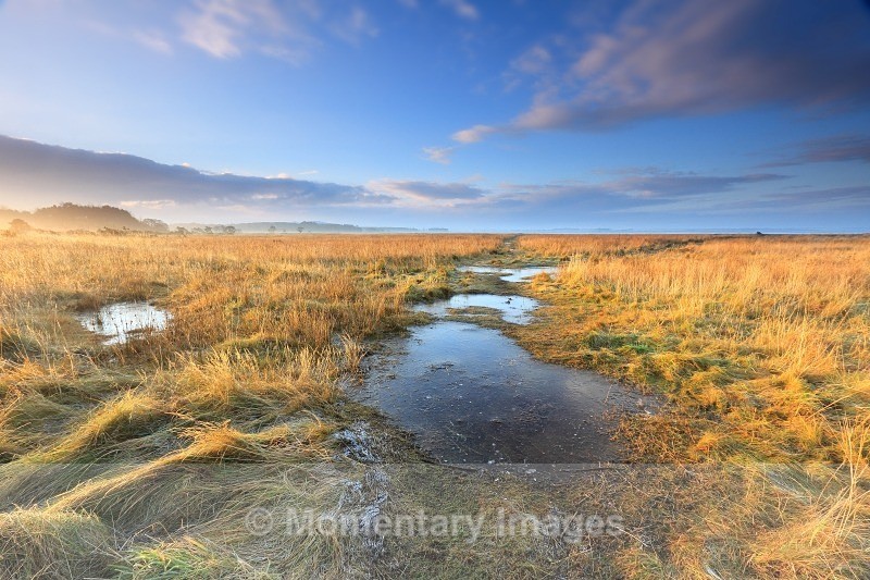 Frost on Findhorn marshes - Sunrise to sunset gallery