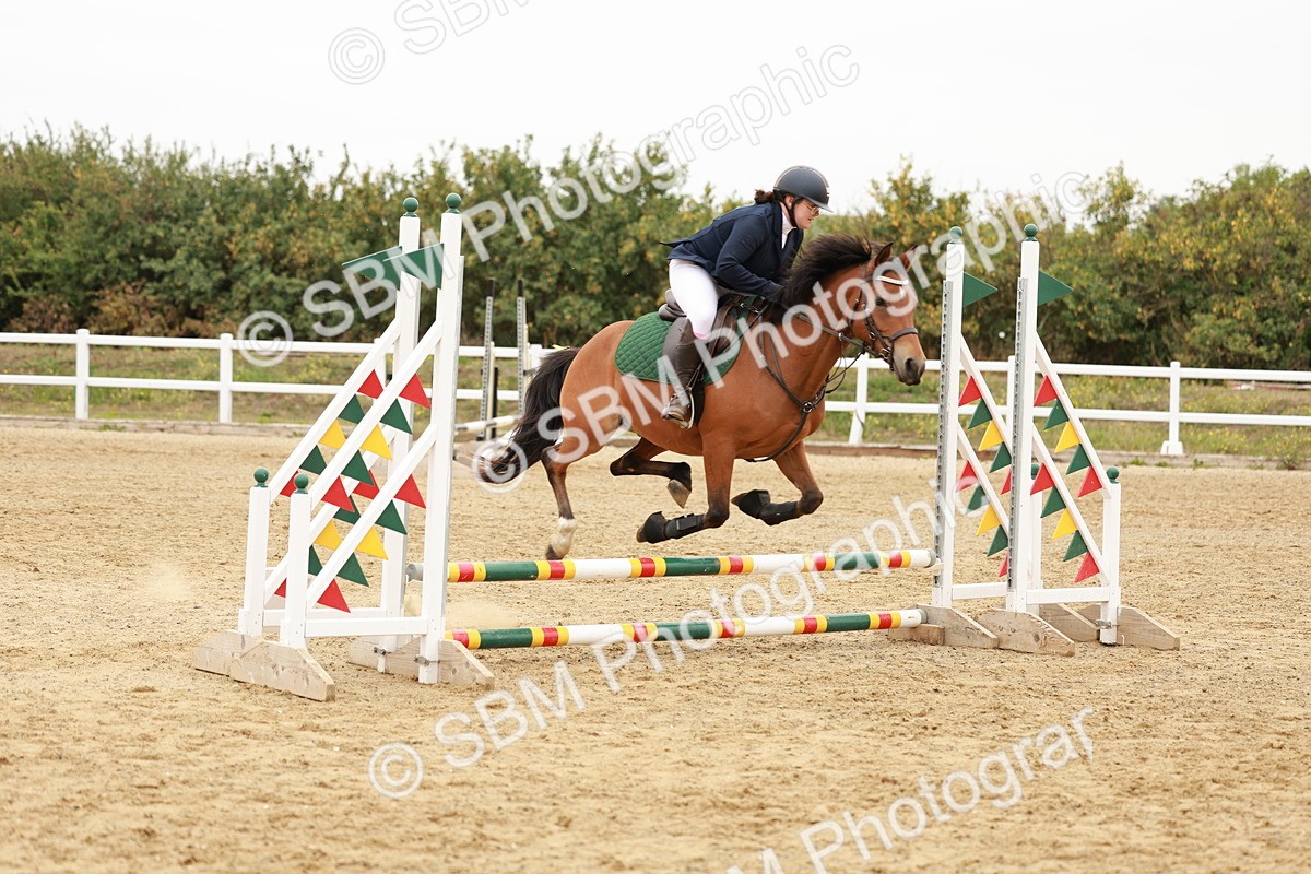 SBM_007320 - Class 2 - 50cm