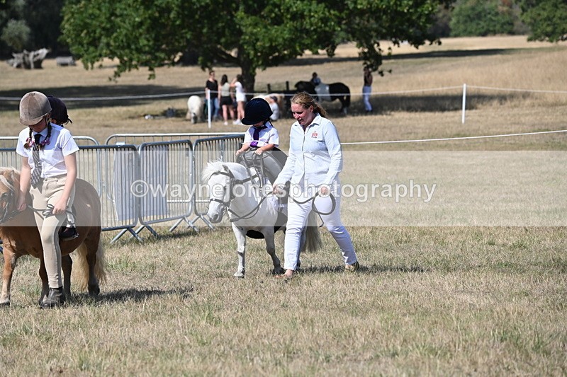WJ6_9489 - Class 40 Cheekiest Pony/Horse