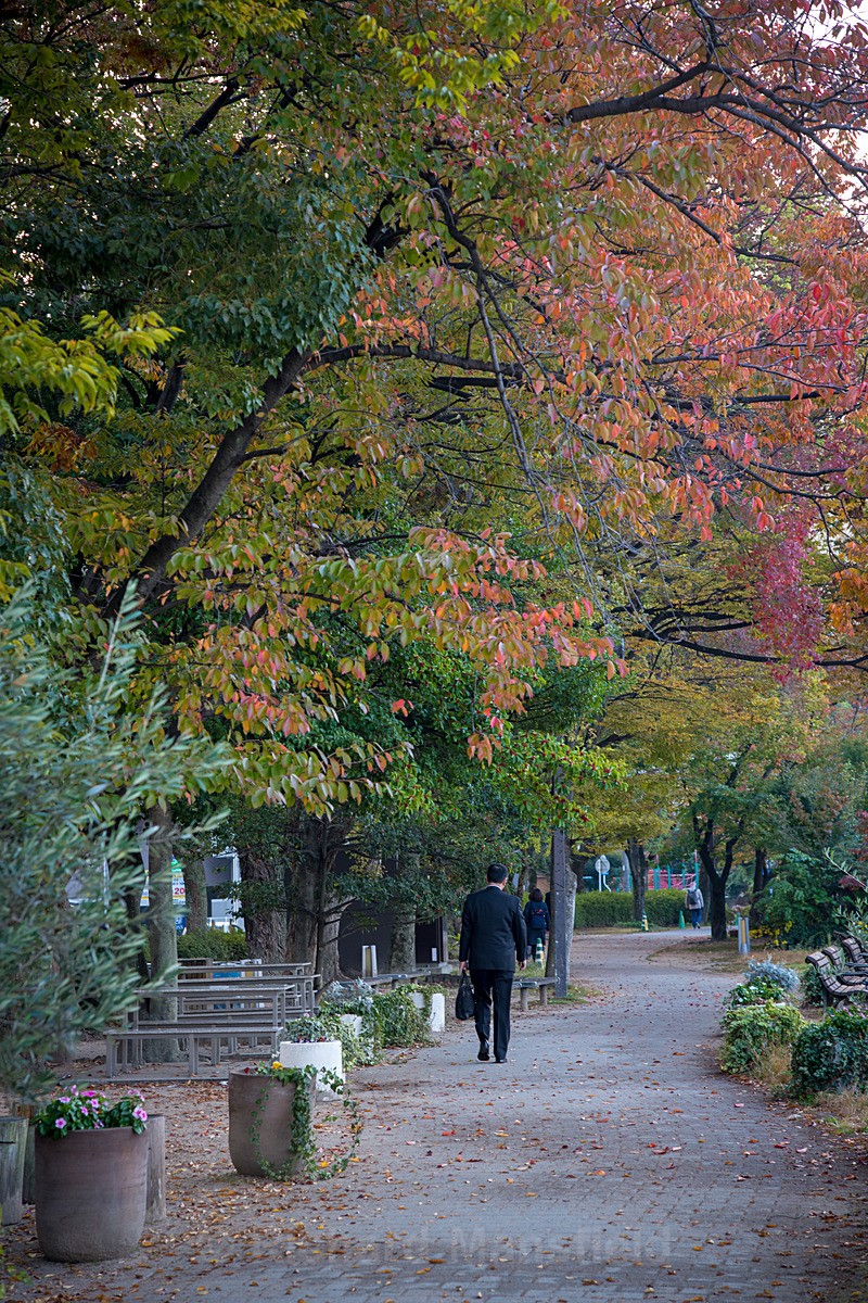  - Japan